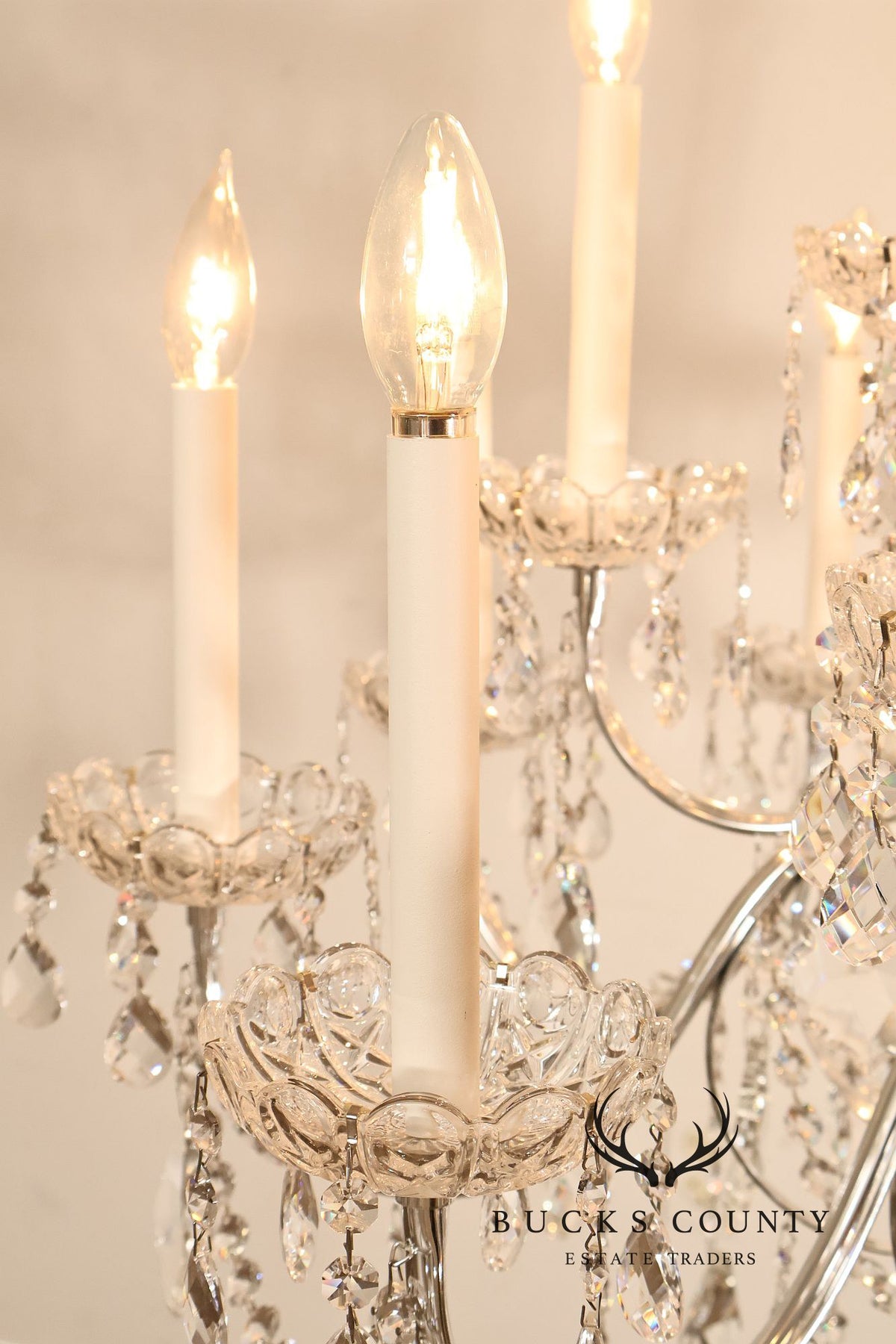 Schonbek Twenty-Light Crystal Two-Tier Polished Silver Chandelier
