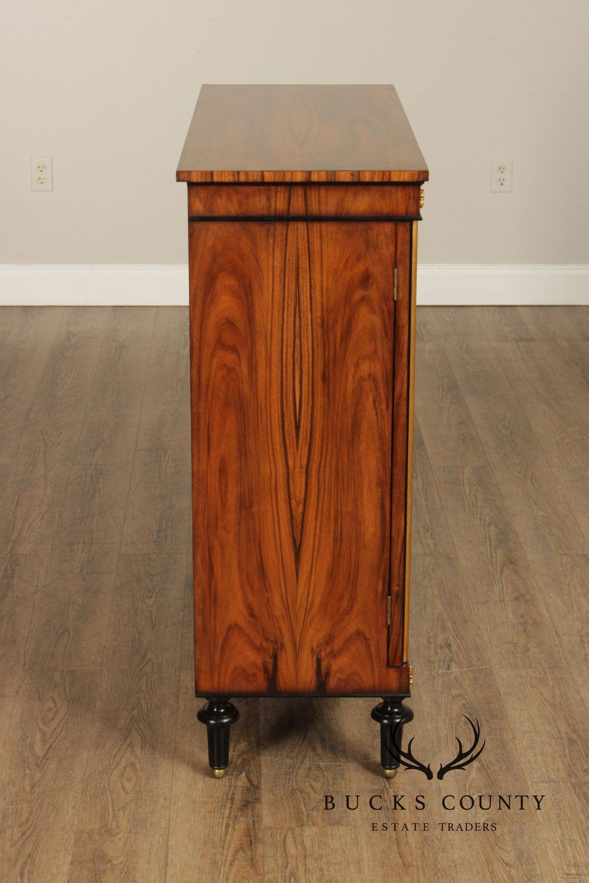 Regency Style Rosewood Mirrored Two Door Cabinet