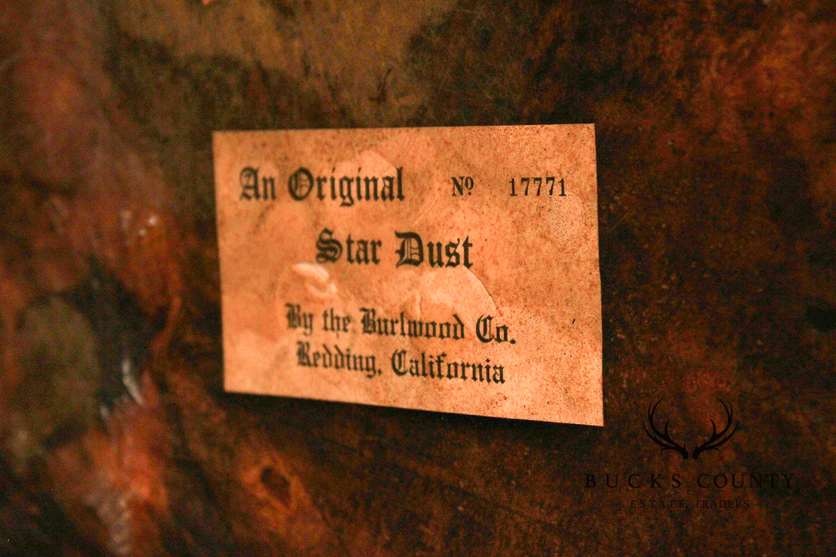 The Burlwood Co. Star Dust Redwood Burl Live Edge Coffee Table