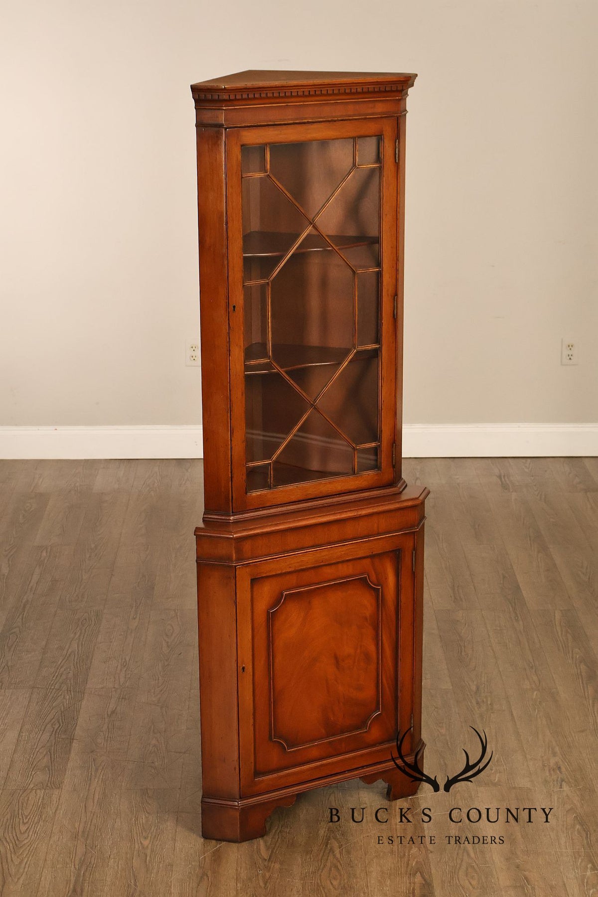 Georgian Style Narrow Mahogany Corner Cabinet With Geometric Glass Door