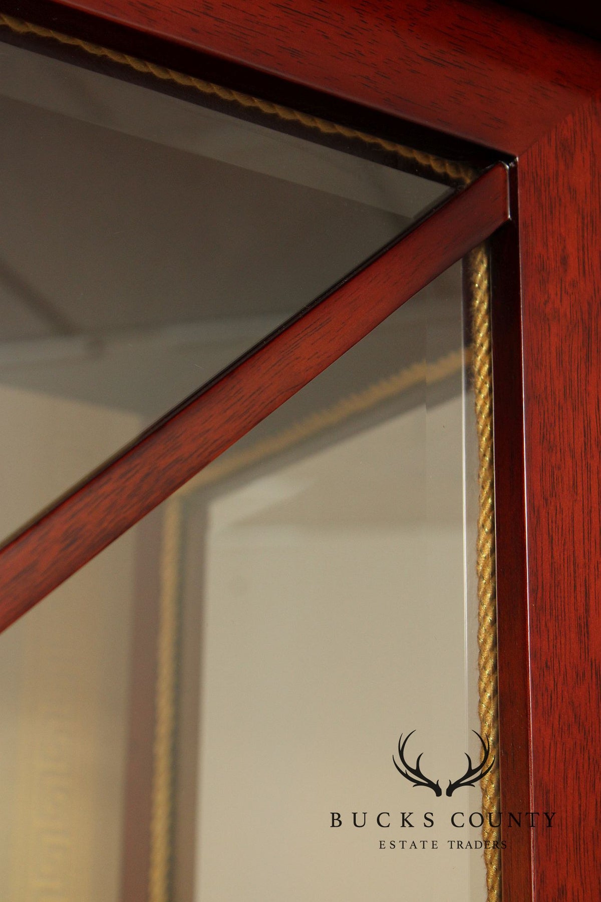 Regency Style Mahogany And Ebonized Pair Of Display Cabinets By Infinity Gigasso
