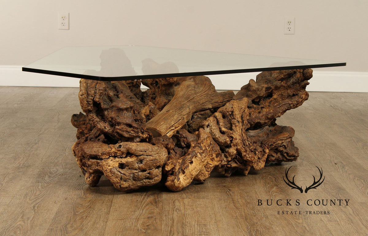 Mid Century Modern Root Burlwood and Glass Top Coffee Table