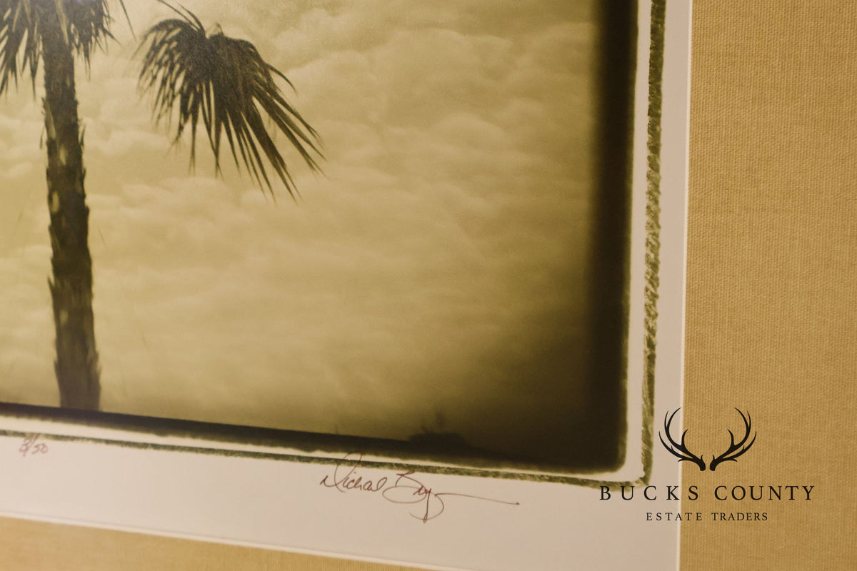 Michael Bryant Pair of Framed Photographs, 'Palm Study'