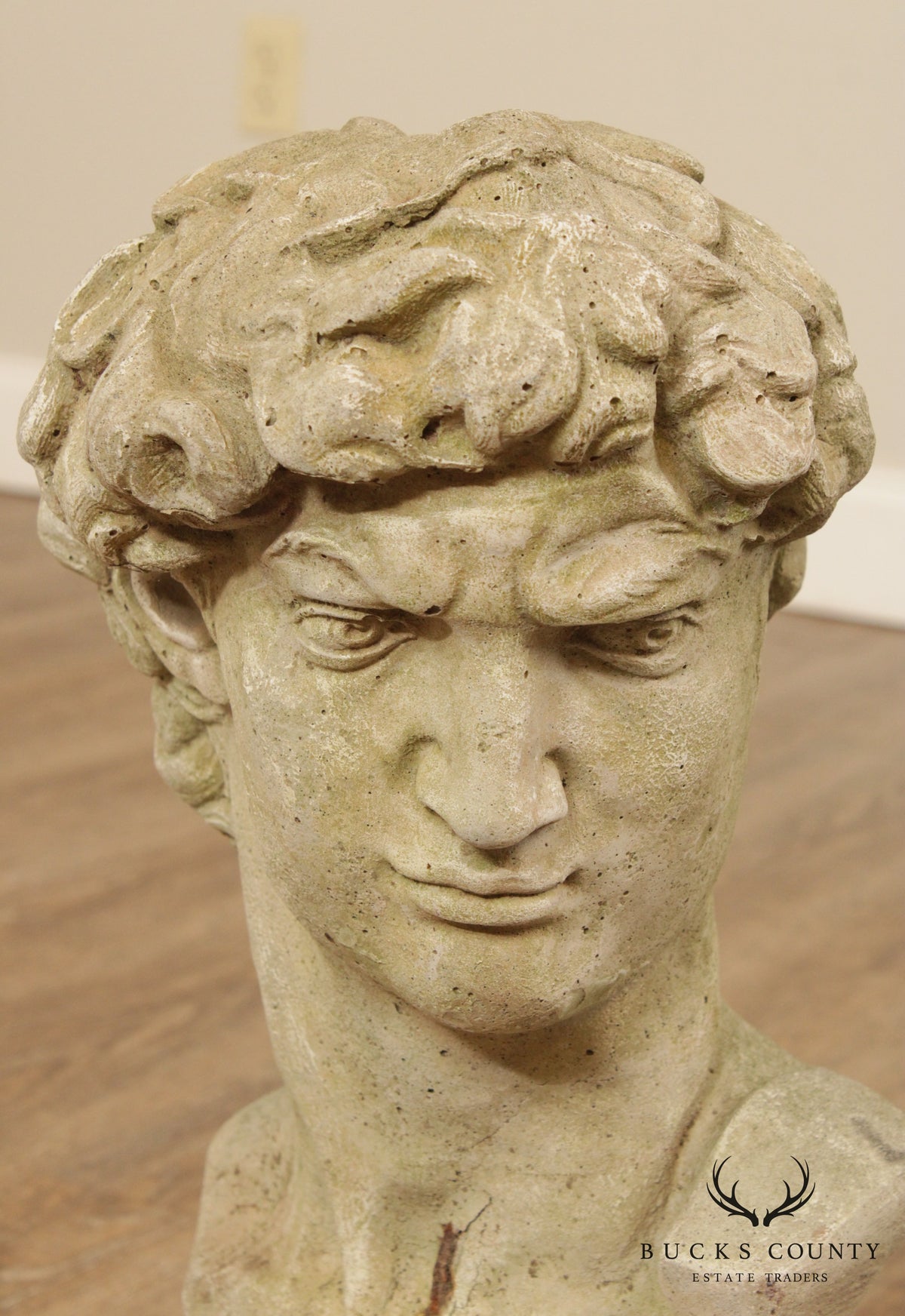 Vintage Cast Stone Garden Bust Of Michelangelo's David (B)