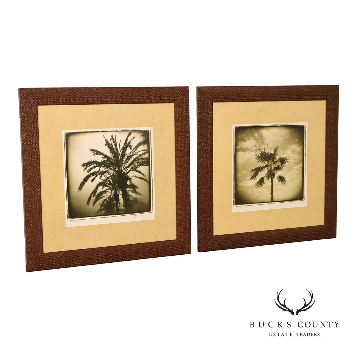 Michael Bryant Pair of Framed Photographs, 'Palm Study'