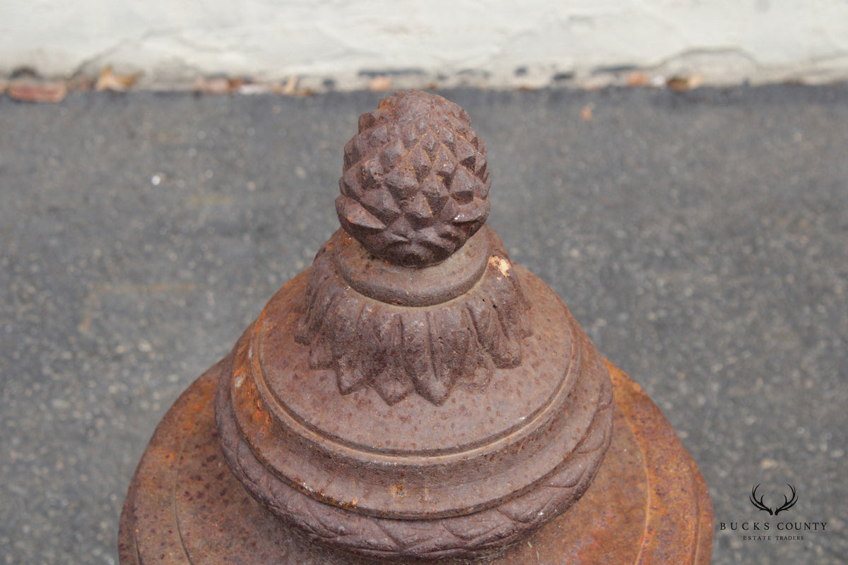 Classical Style Pair of Cast Iron Outdoor Garden Urns