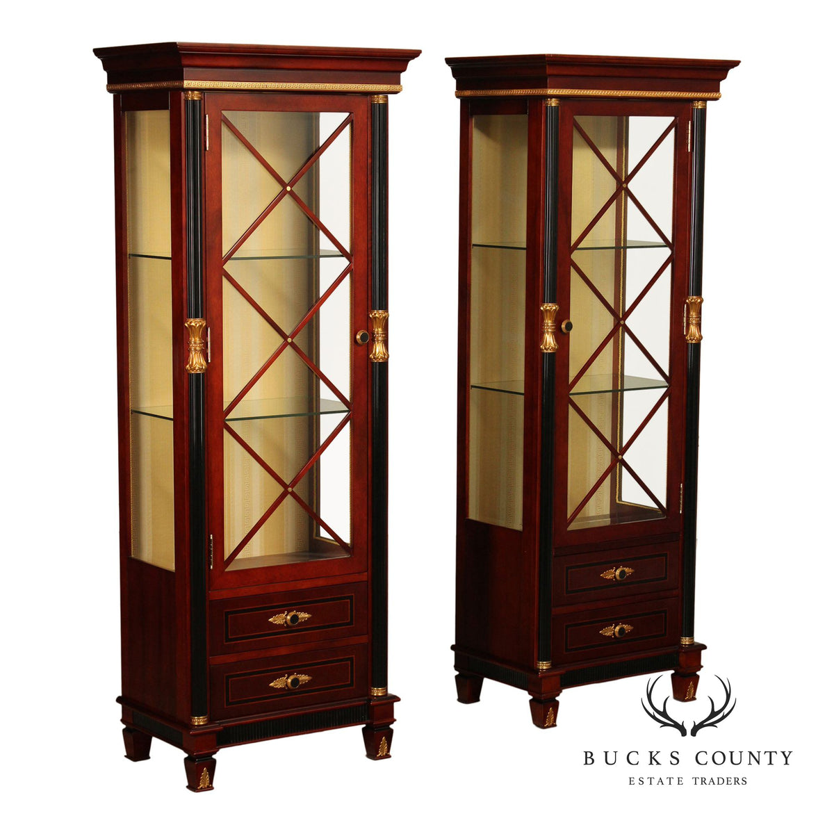 Regency Style Mahogany And Ebonized Pair Of Display Cabinets By Infinity Gigasso