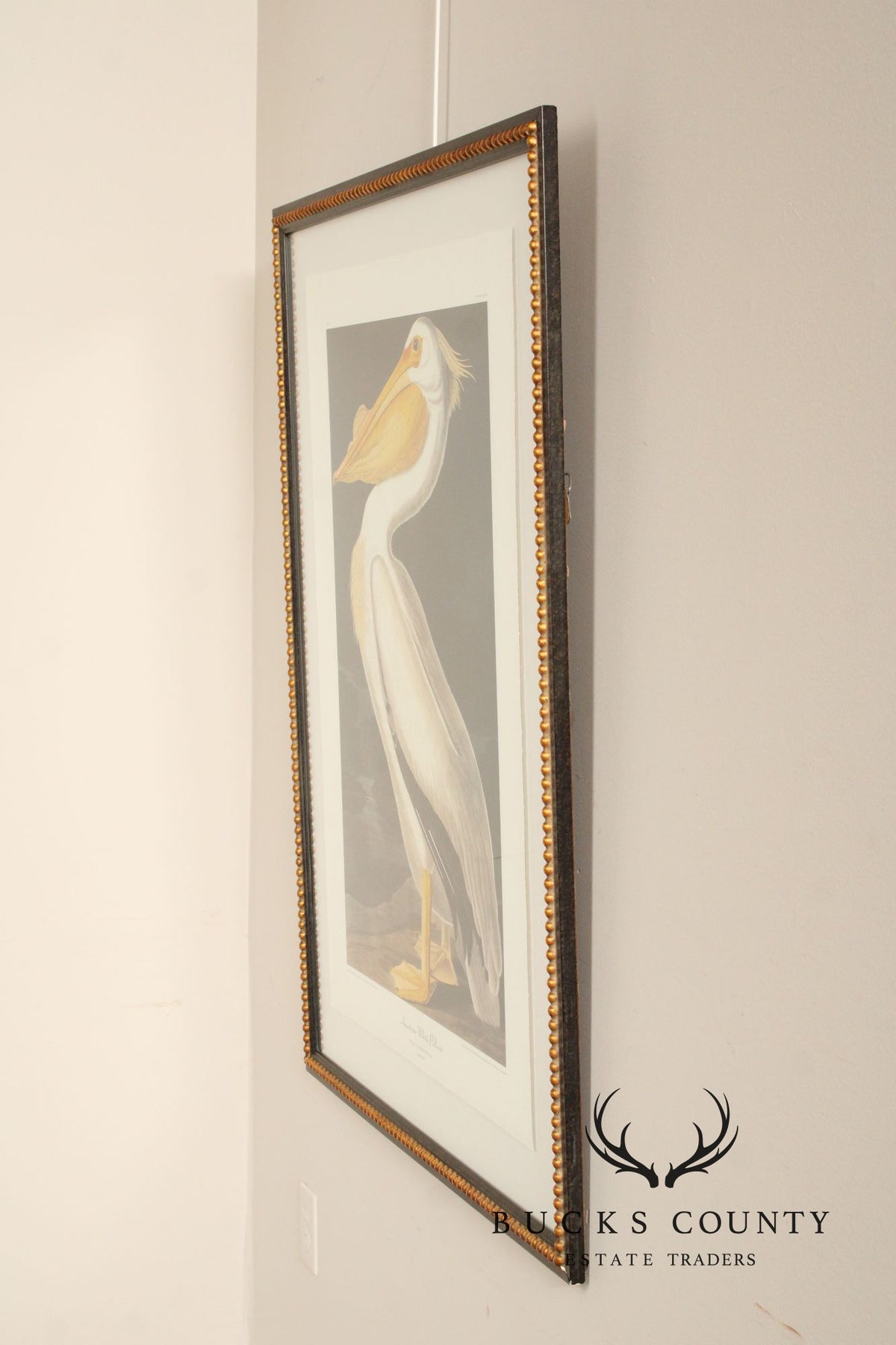 John James Audubon Ornithological, 'American White Pelican'