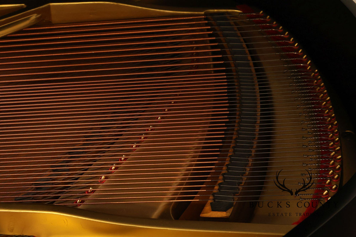 Kurtzman Ebonized Grand Piano And Duet Bench
