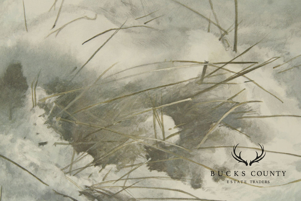 Raymond Harris-Ching Limited Edition Print, 'Mourning Doves'