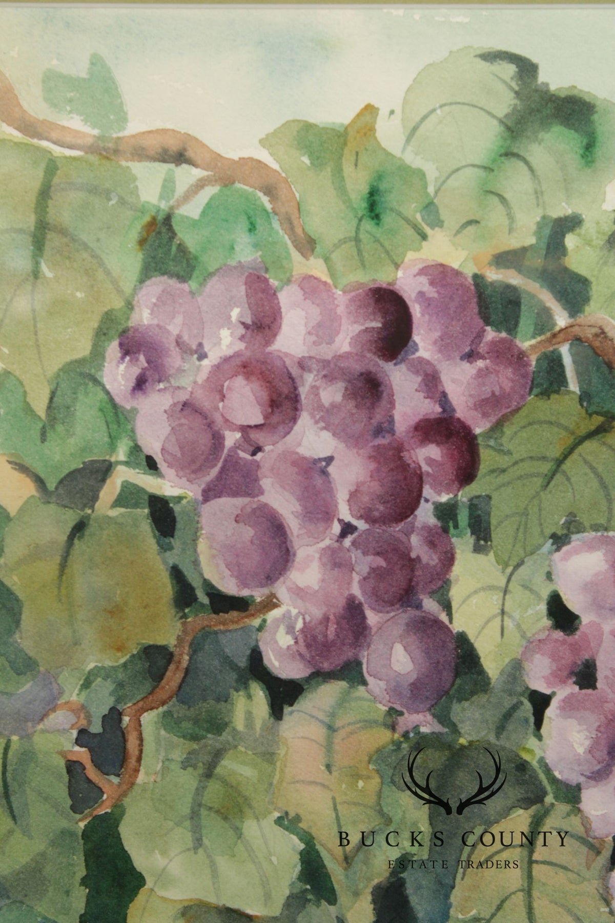 Libby Anderson Watercolor, Still Life of Grapevine