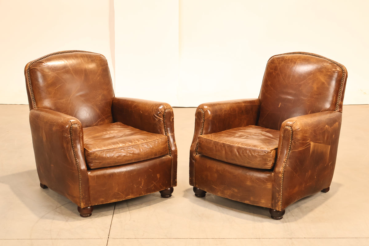 New Arrival