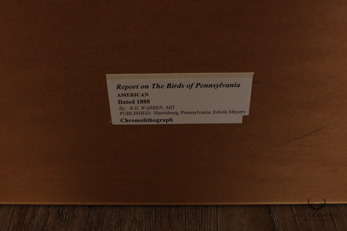 Pair of Ornithological Prints from 'Report on the Birds of Pennsylvania'