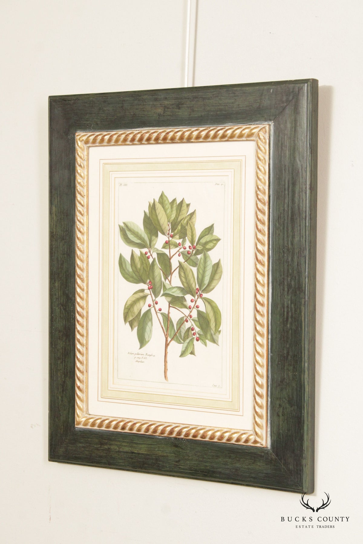 Botanical Illustration Foliate Berry Colored Engraving, Custom Framed