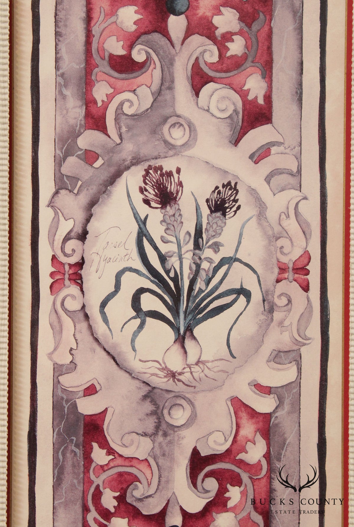John Richard 'Tassel Hyacinth' Framed Print by Mary Beth Zeitz