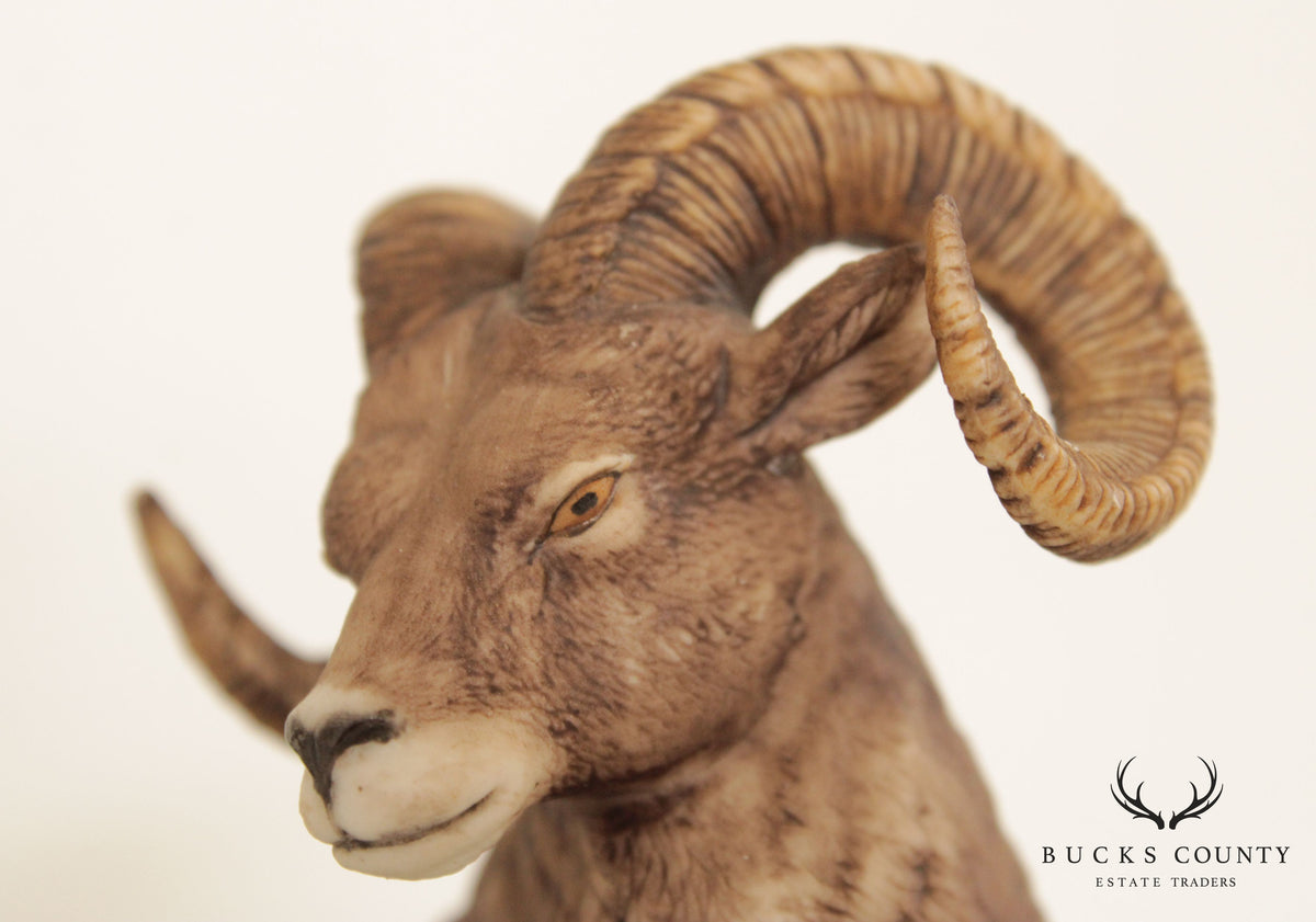 Lenox Wildlife of the Seven Continents, North American Bighorn Sheep