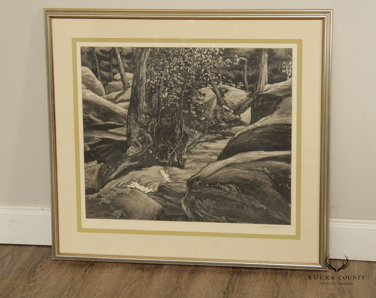 Vintage Roger Cairns 'Unami One' Landscape Etching, Custom Framed