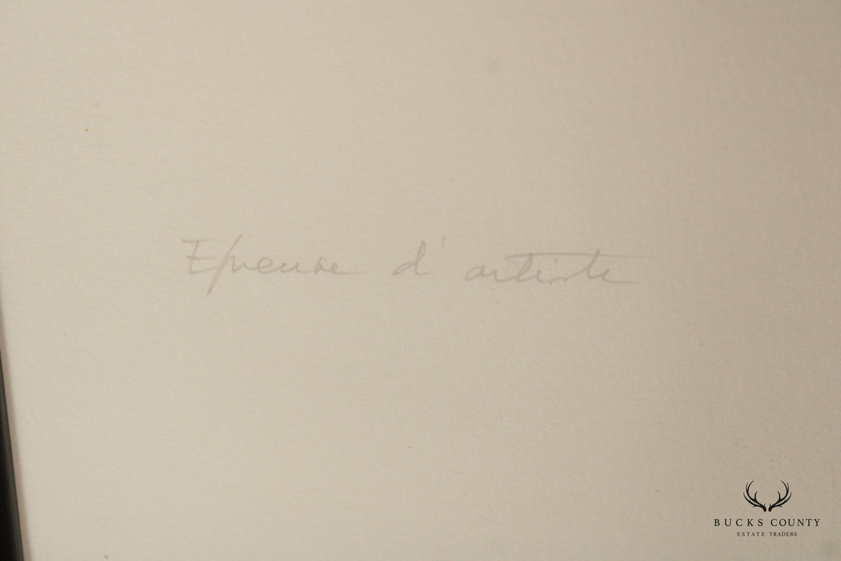 Andre Brasilier Signed Lithograph 'Le Miroir en Irlande'