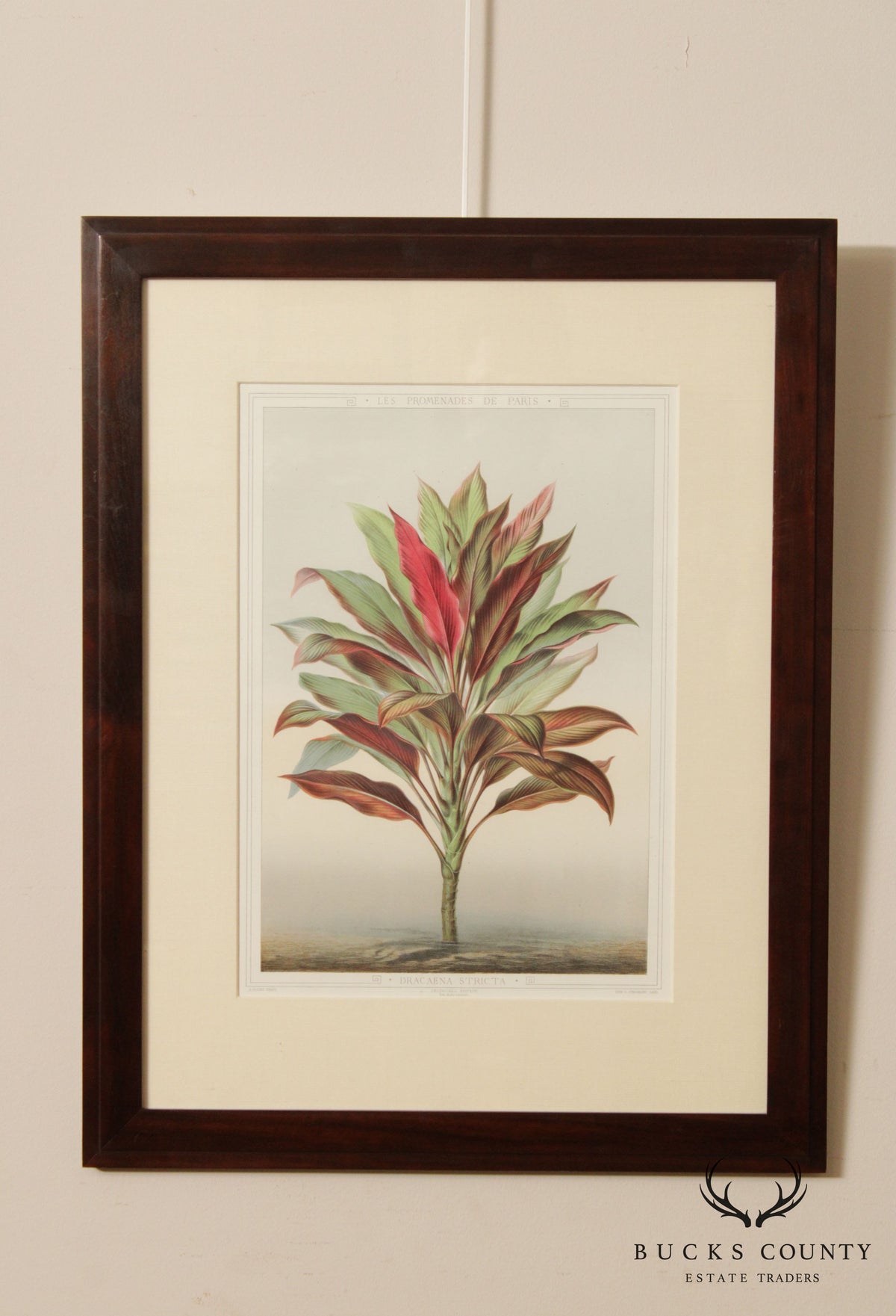 La Promenade de Paris 'Dracaena Stricta' Lithograph After Francois François Frédéric Grobon