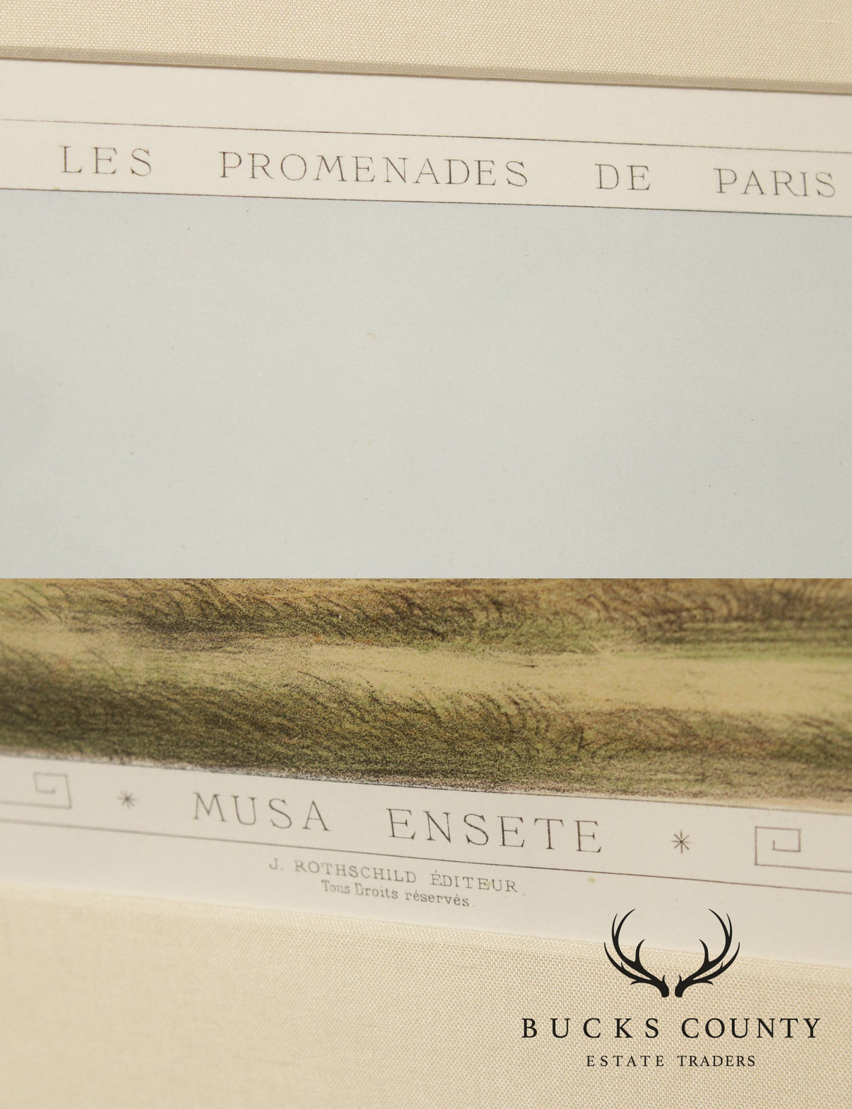 Le Promenades de Paris 'Musa Ensete' Lithograph after Francois Frederic Grobon