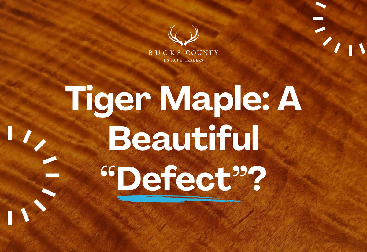 Tiger Maple Furniture: What Makes This Rare, Beautiful Wood So Special?