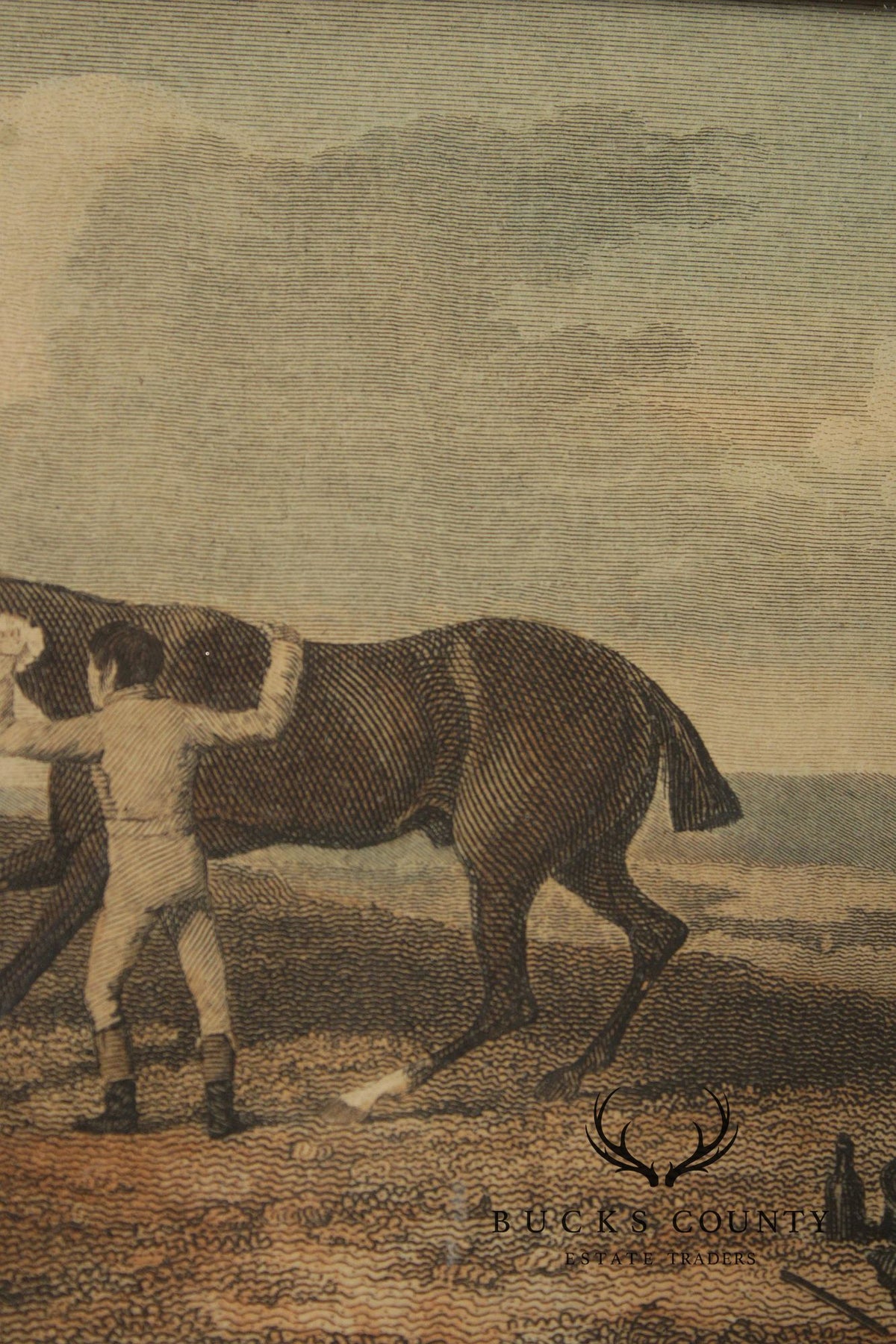 English Traditional Antique Framed Equestrian Print, 'Rubbing Down'