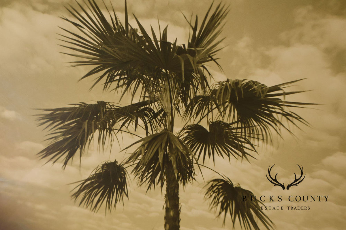 Michael Bryant Pair of Framed Photographs, 'Palm Study'