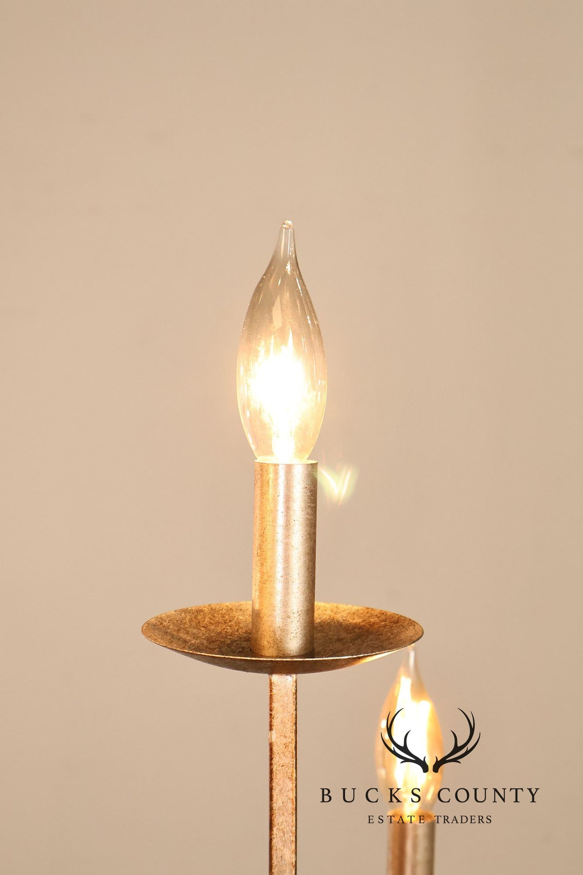 Quoizel 'Serenity' Nine-Light Candelabra Chandelier