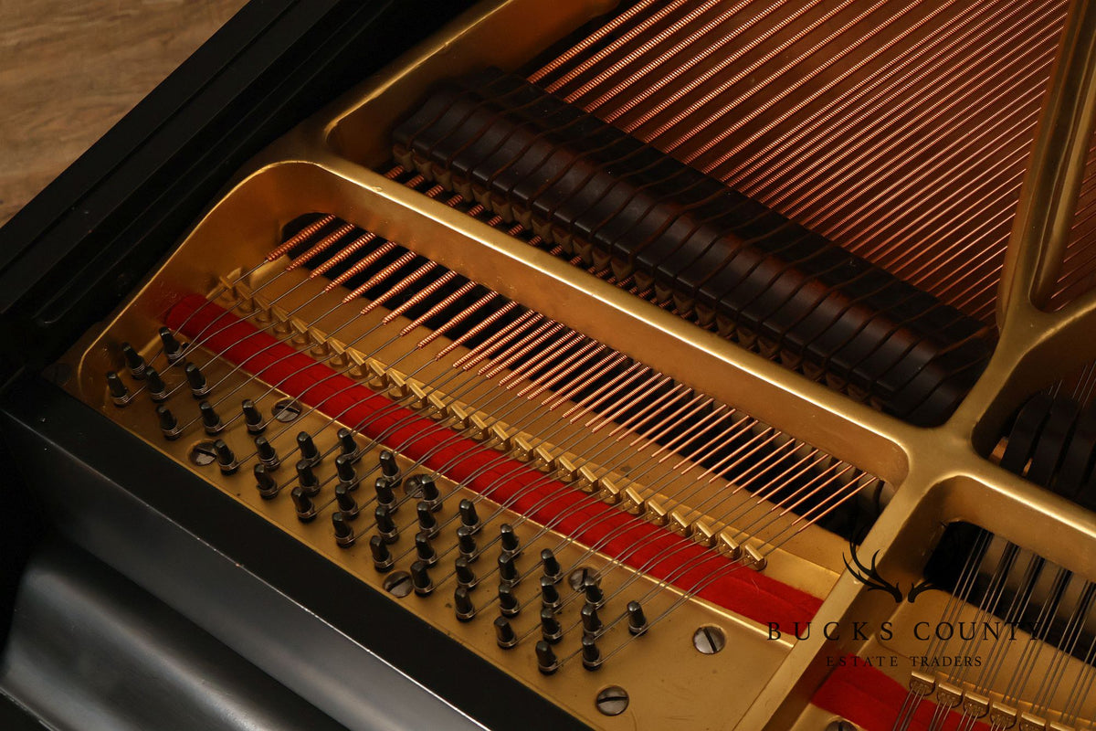 Kurtzman Ebonized Grand Piano And Duet Bench