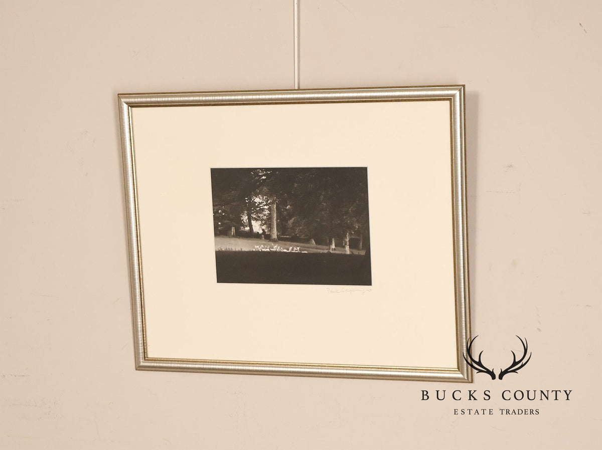 Paul Caponigro Original Print, 'Standing White Deer, County Wicklow, Ireland'