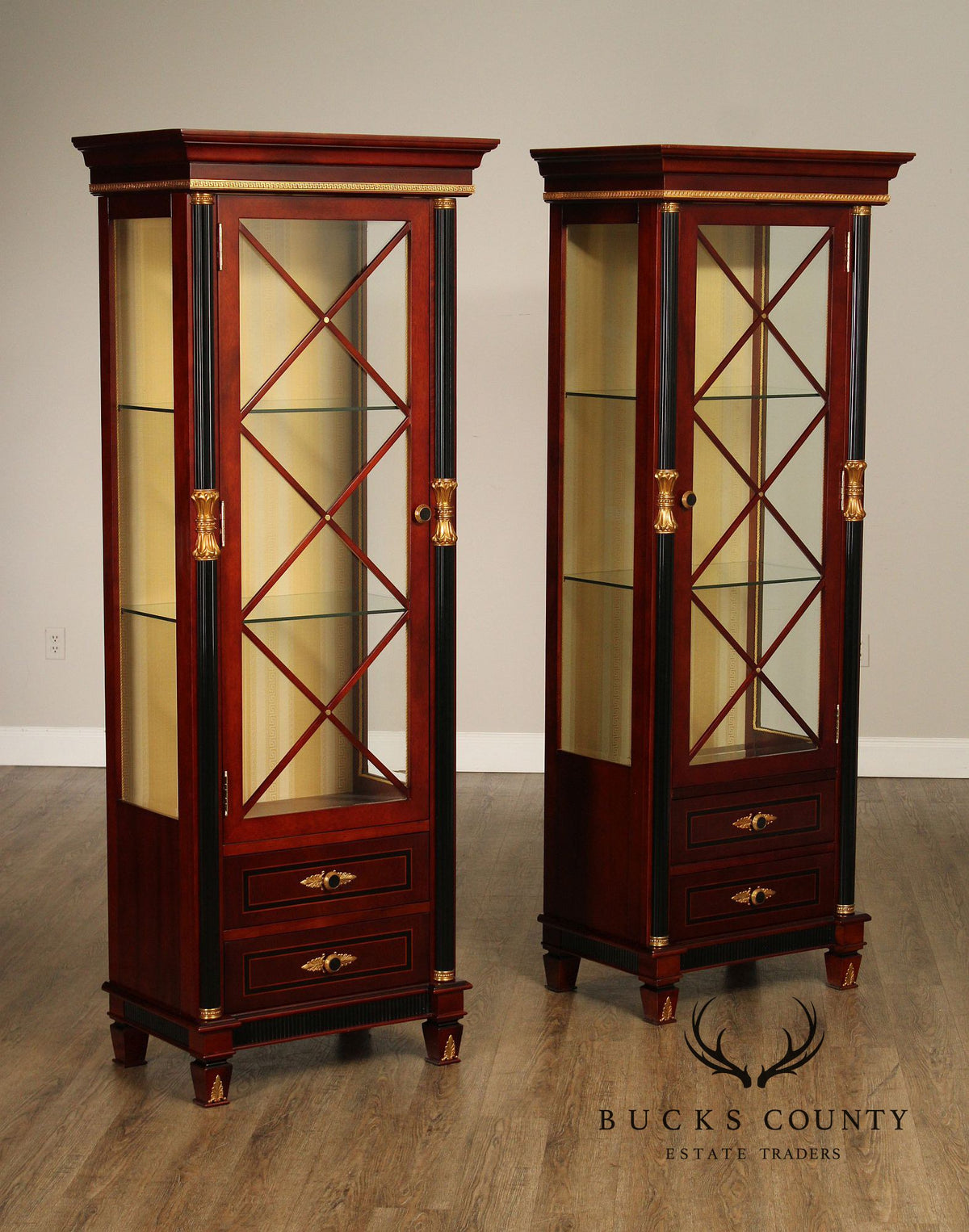 Regency Style Mahogany And Ebonized Pair Of Display Cabinets By Infinity Gigasso