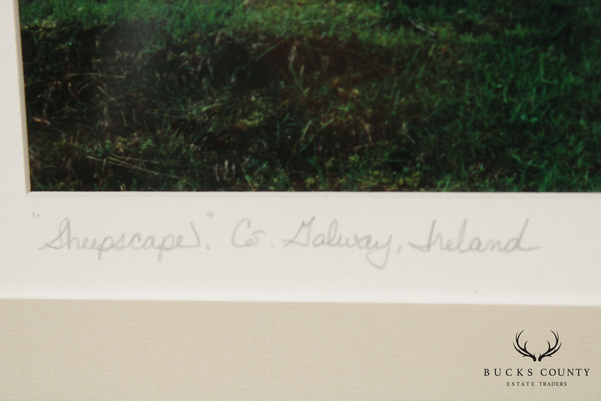 Ireland 'Sheepscape' Landscape Photograph by John and Debra Scanlan